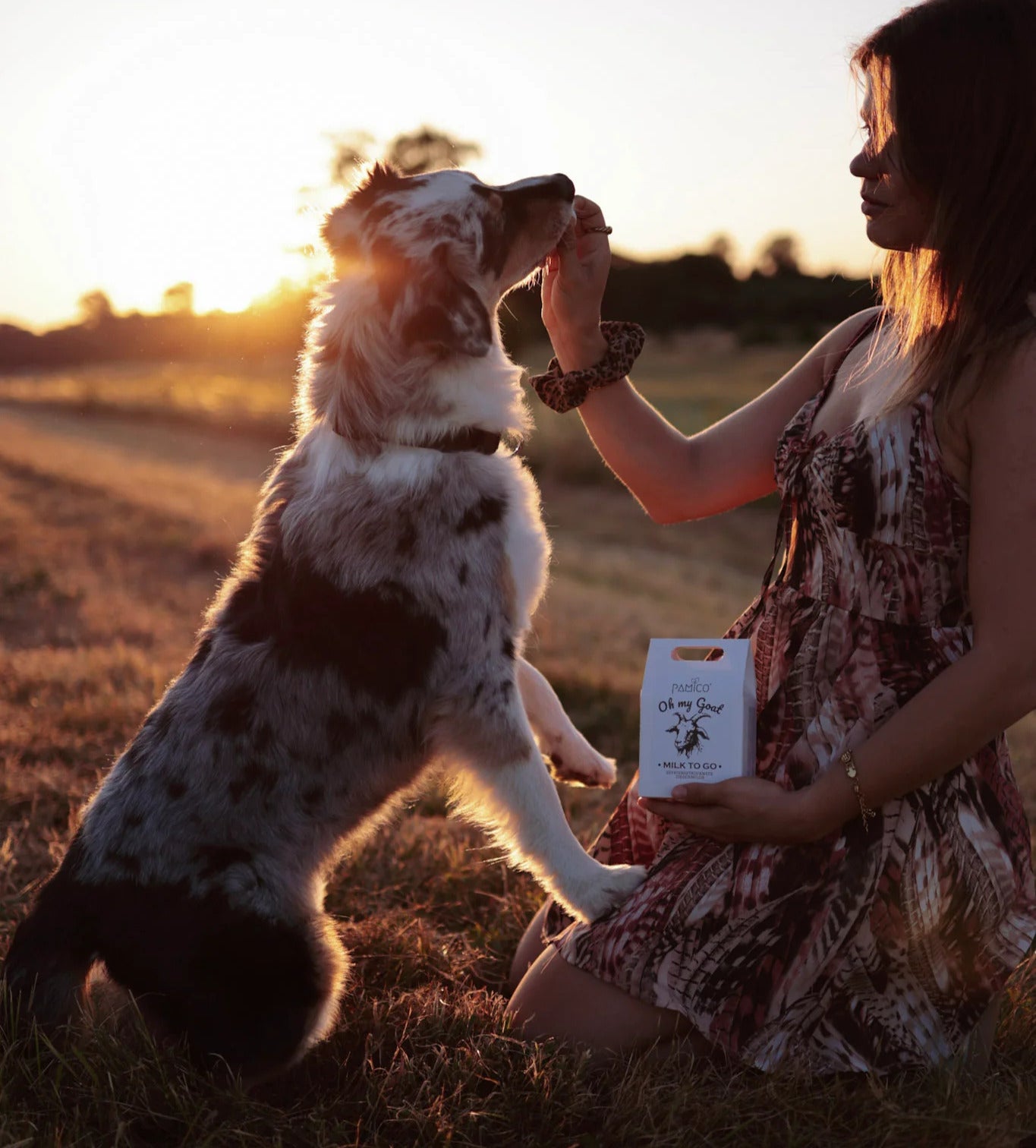 Freeze-dried goat milk for dogs and cats