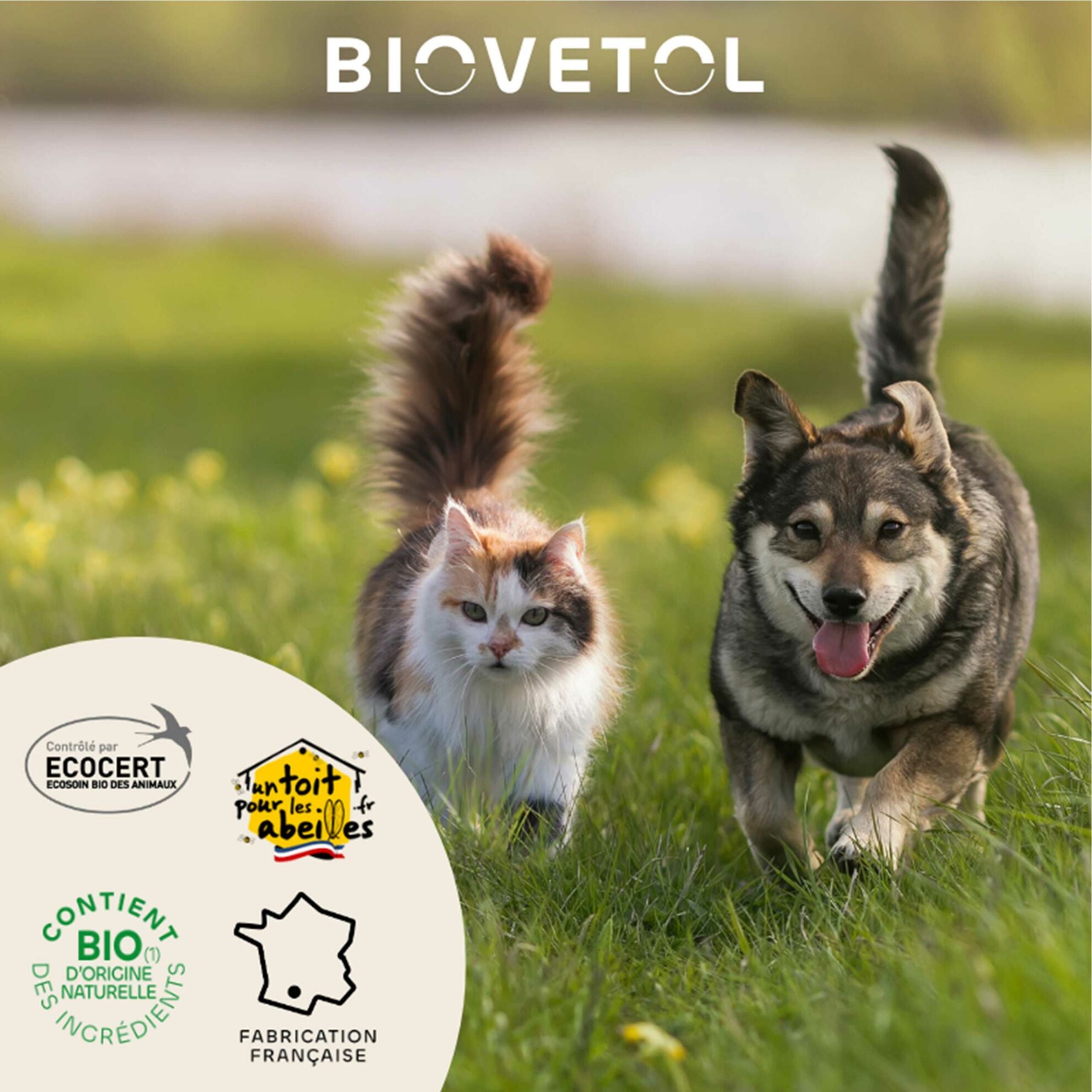 Organic floral water ear lotion