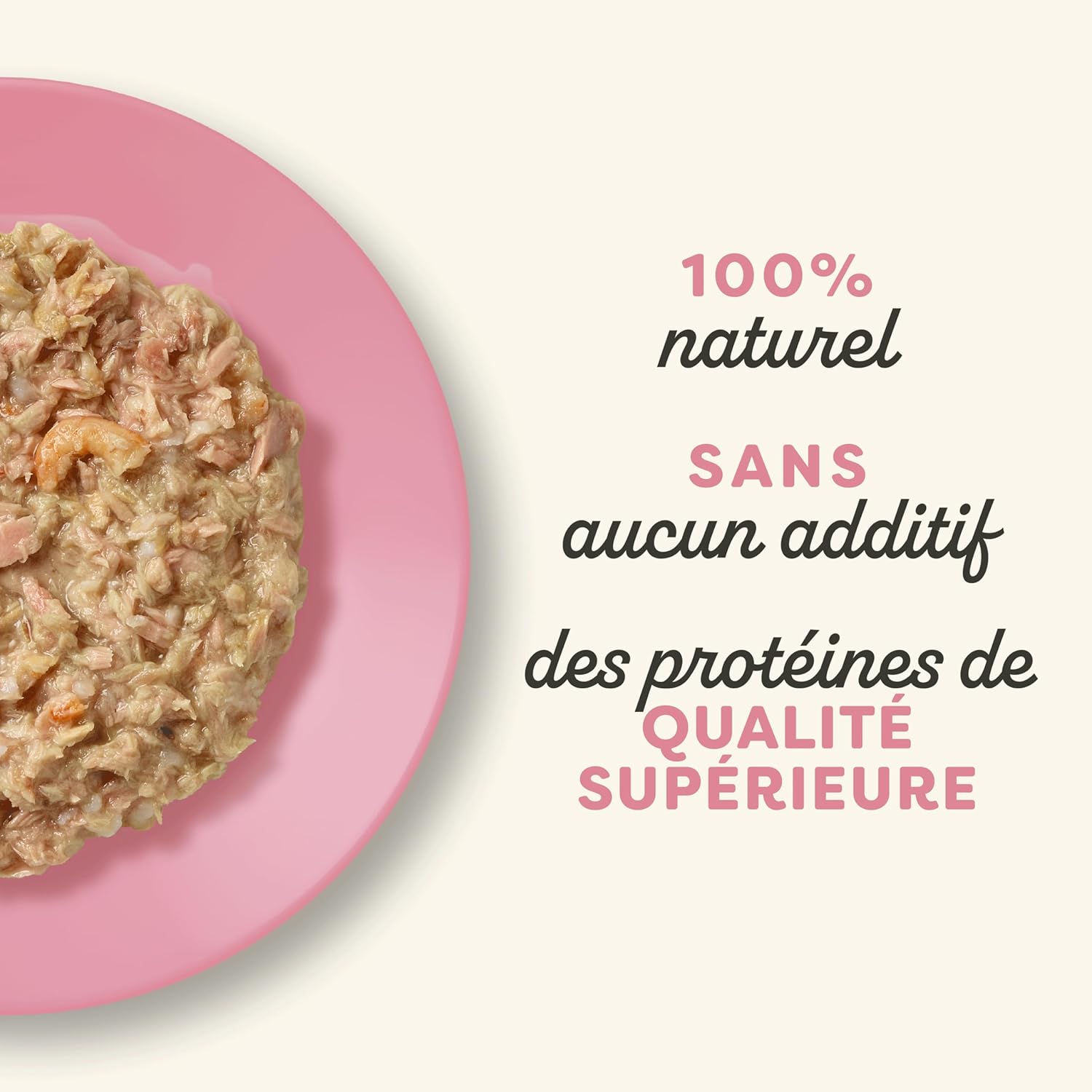 Tuna and shrimp fillet in broth for adult cats