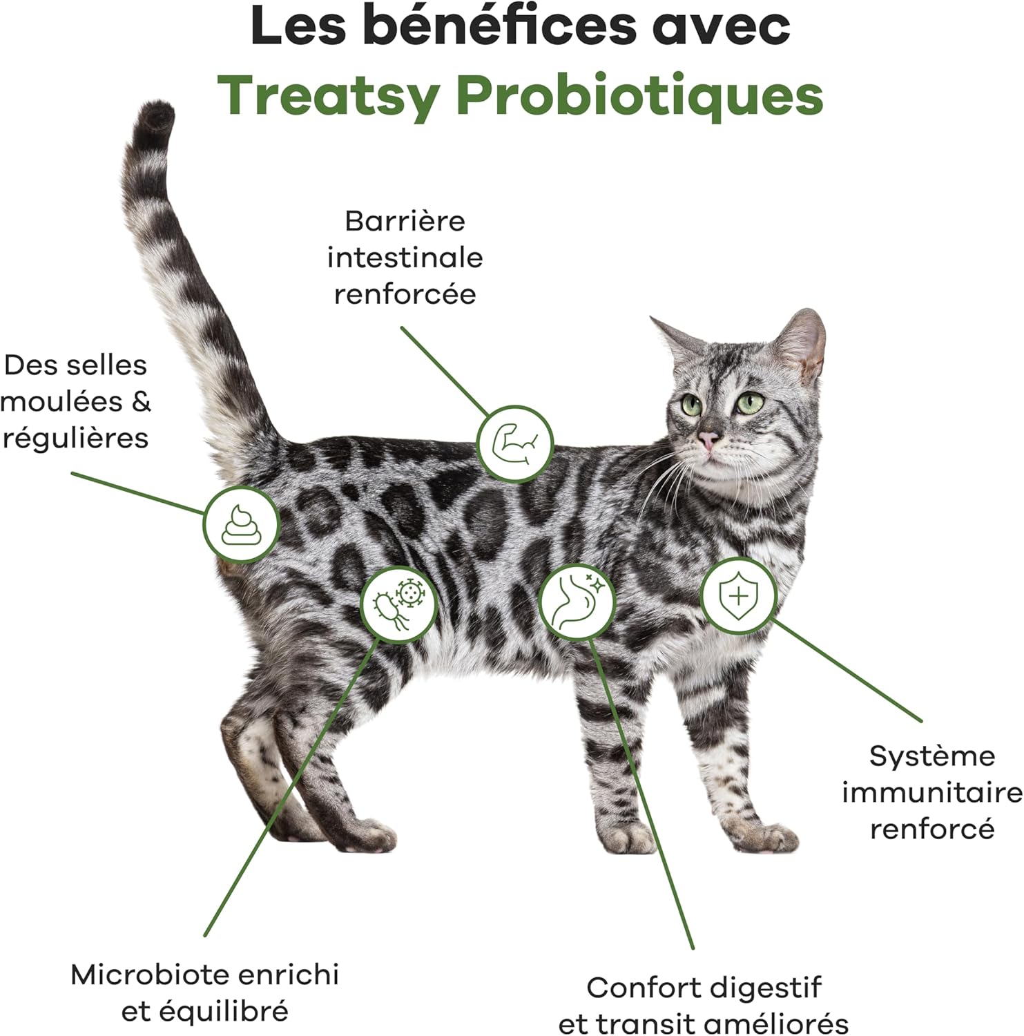 Probiotic food supplement with fish and chicken for cats