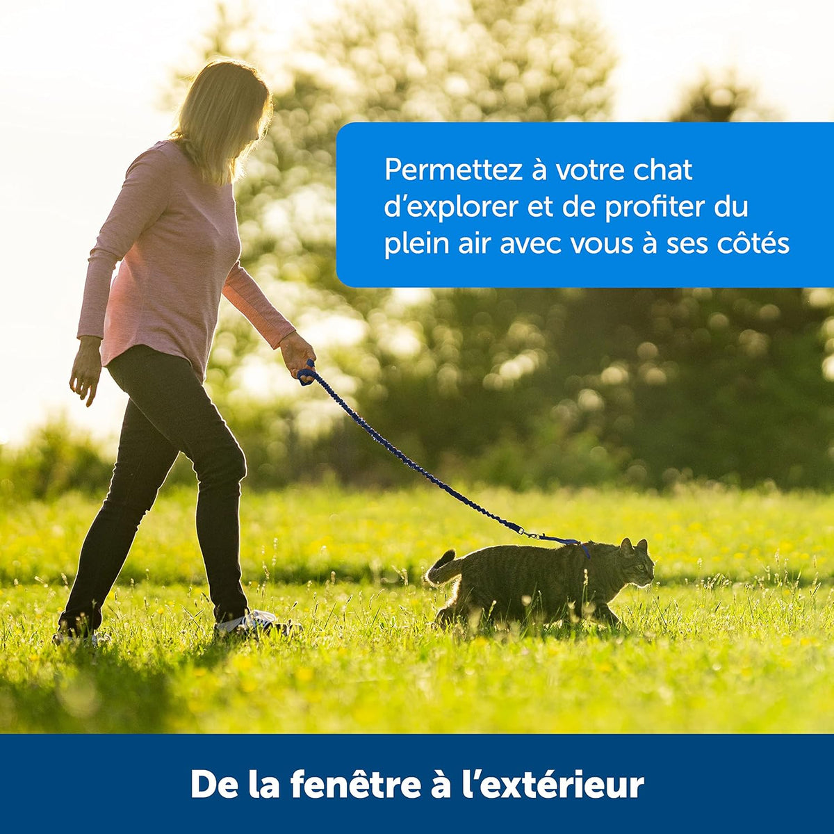 Easy Walk® Geschirr und Leine für Katzen
