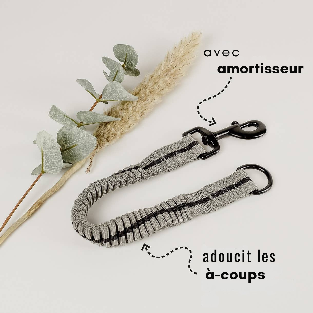 Reflective anti-pull harness