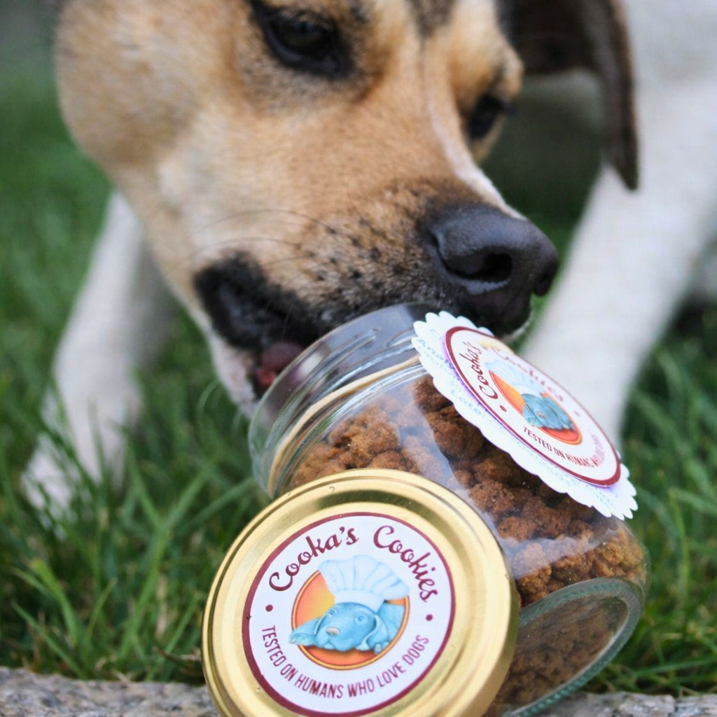 Crumble de poulet déshydraté pour chiens et chats