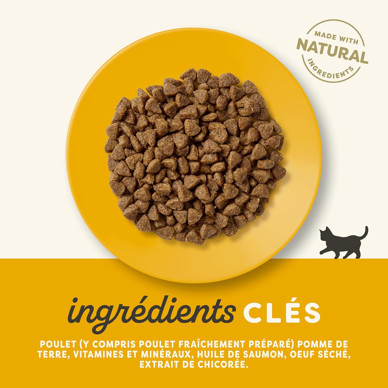 Chicken-flavored cat food