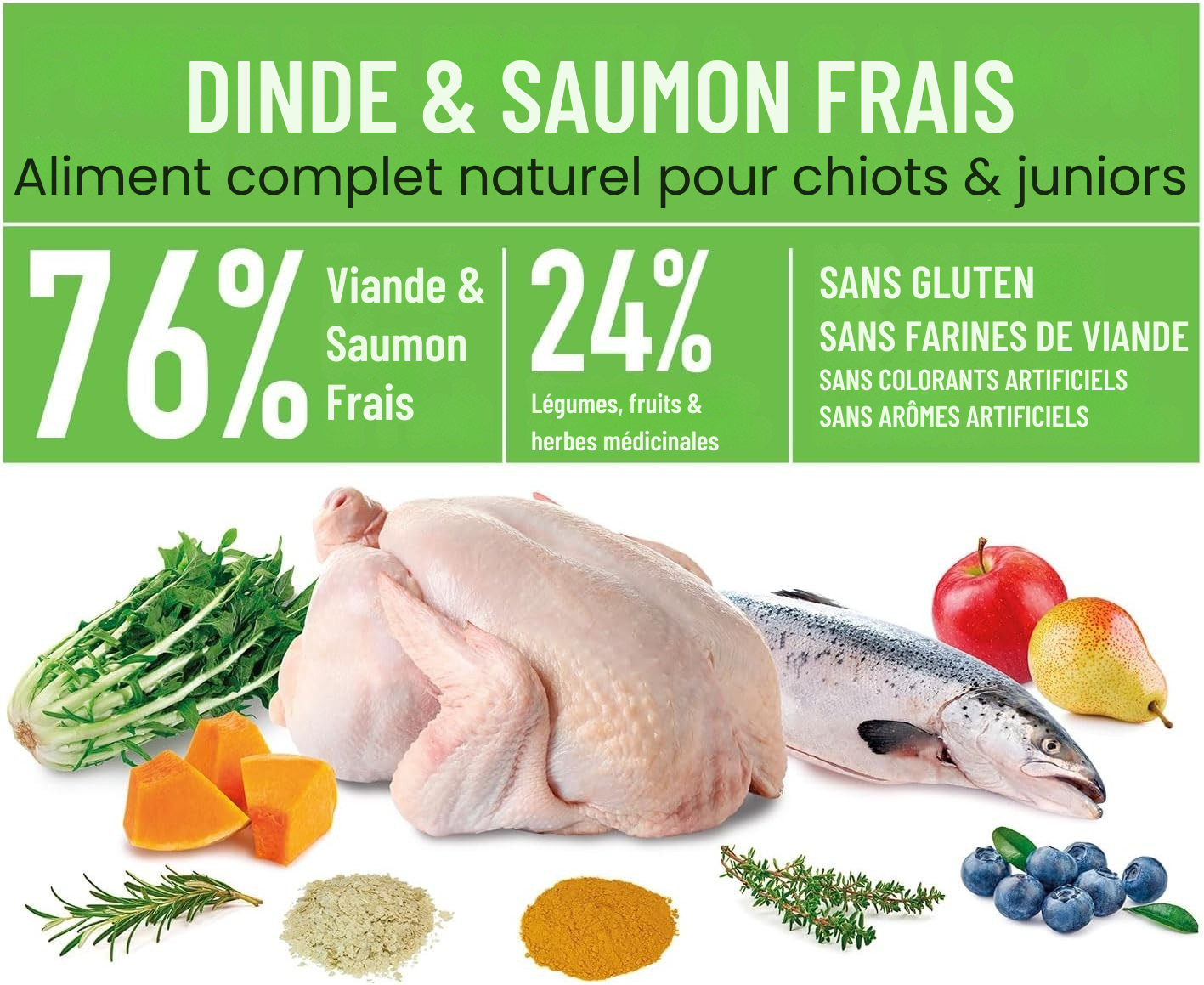 Semi-moist turkey and fresh salmon kibble