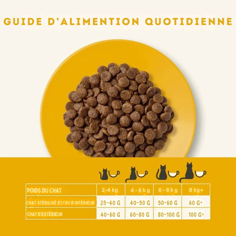 Chicken-flavored kibble for adult cats