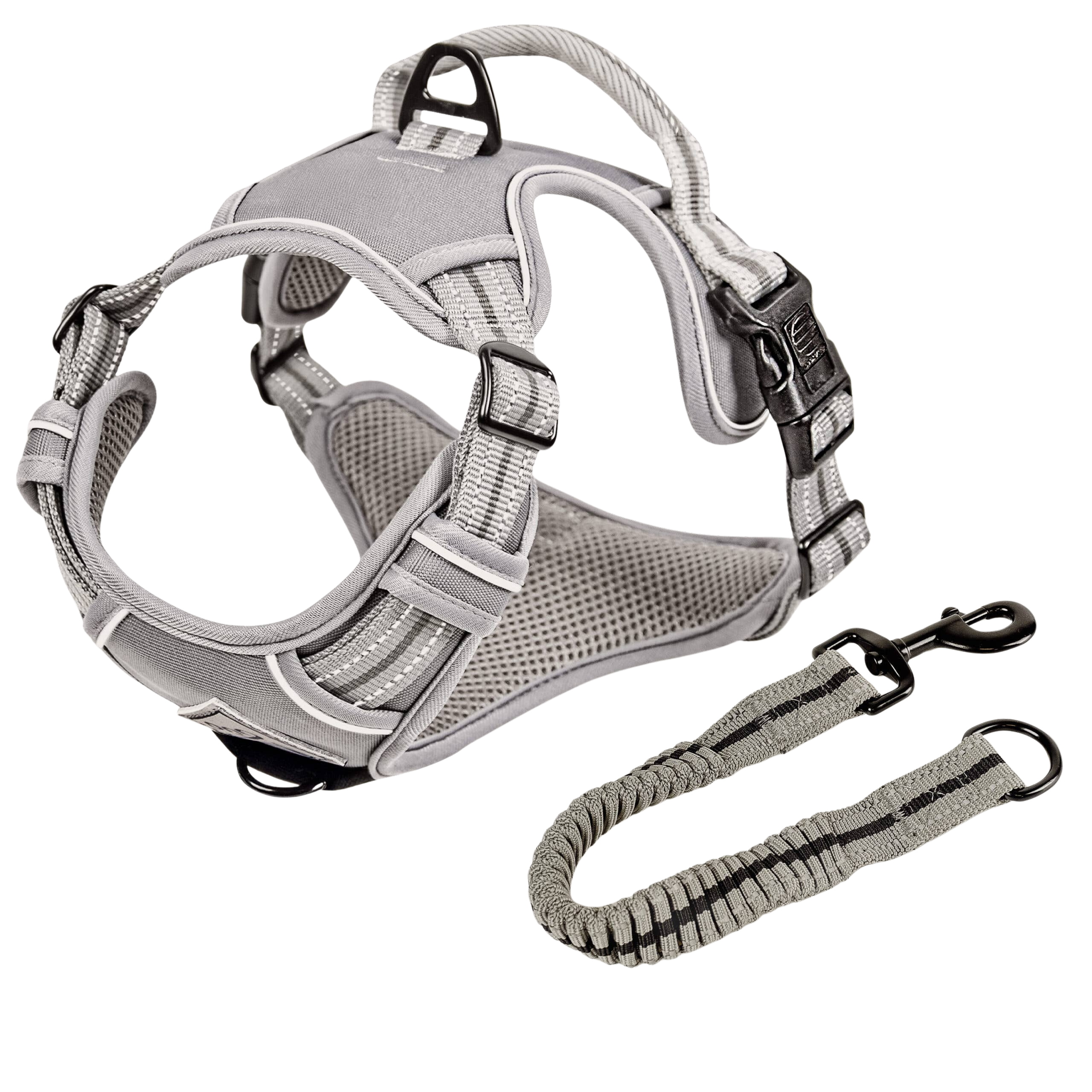 Harnais réfléchissant anti-traction