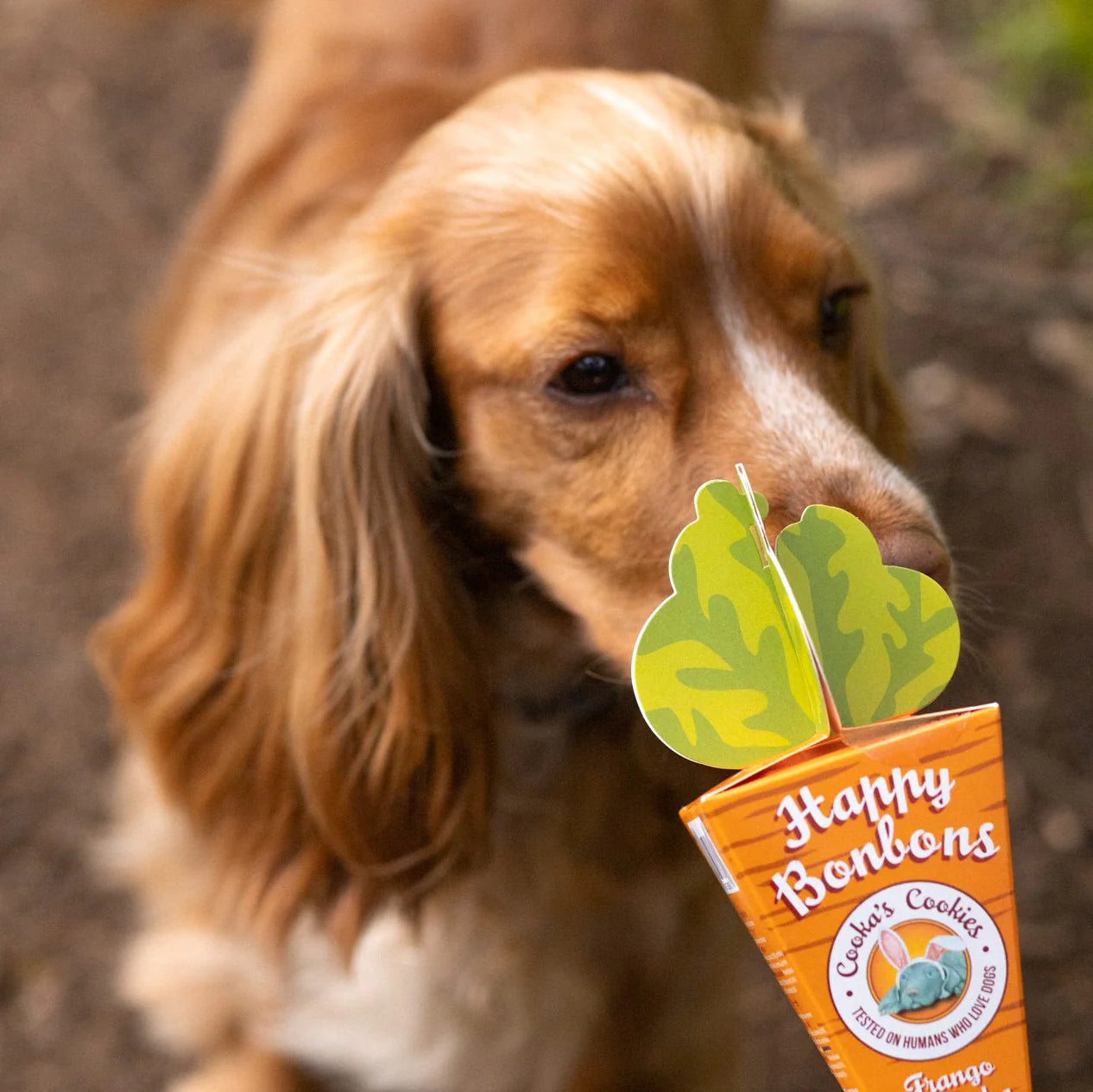 Friandises croquantes dinde et sardine