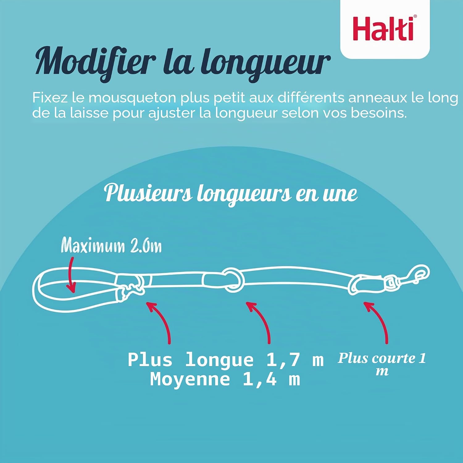 Laisse d’éducation 3 positions pour chiens