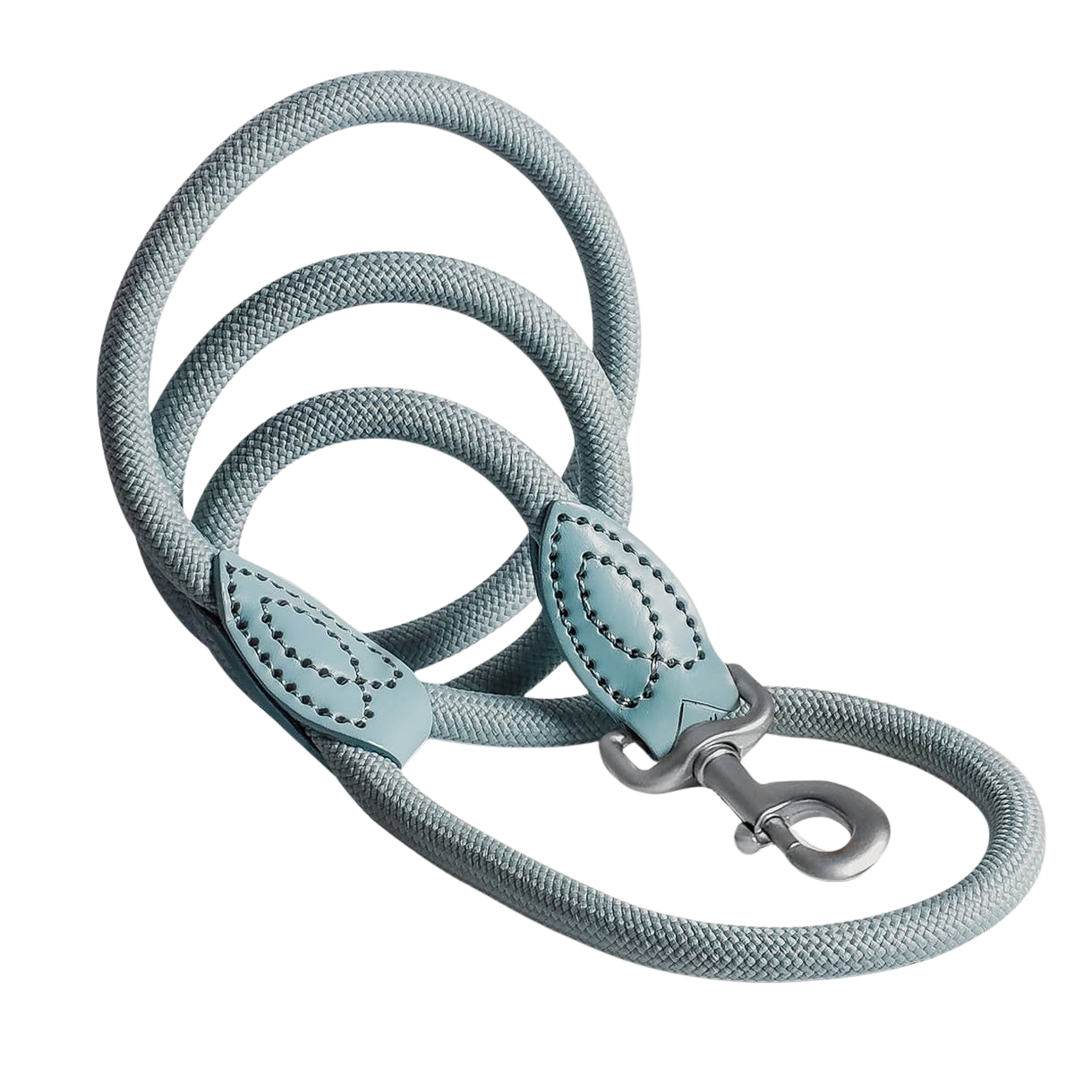 Laisse en polyamide et cuir