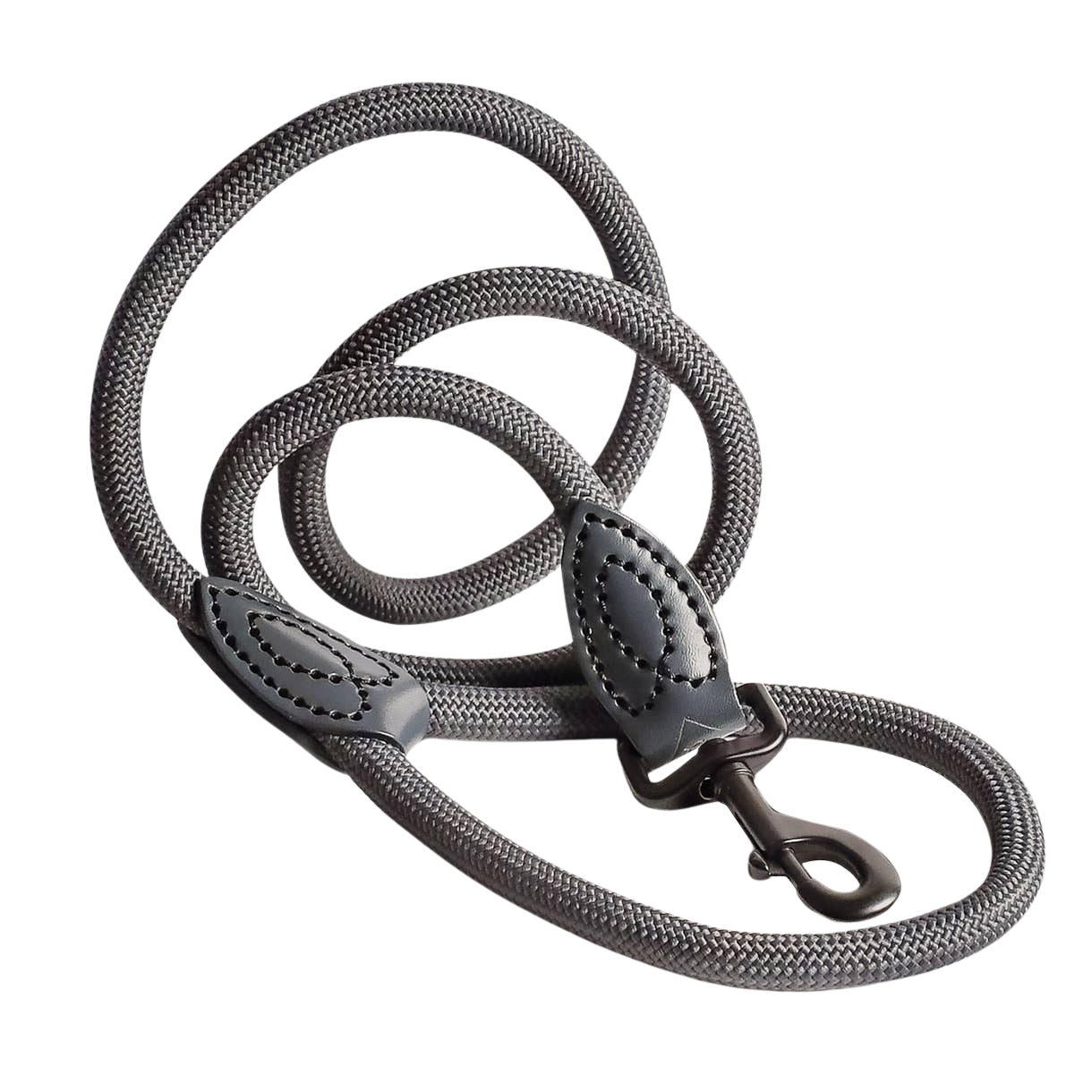 Laisse en polyamide et cuir