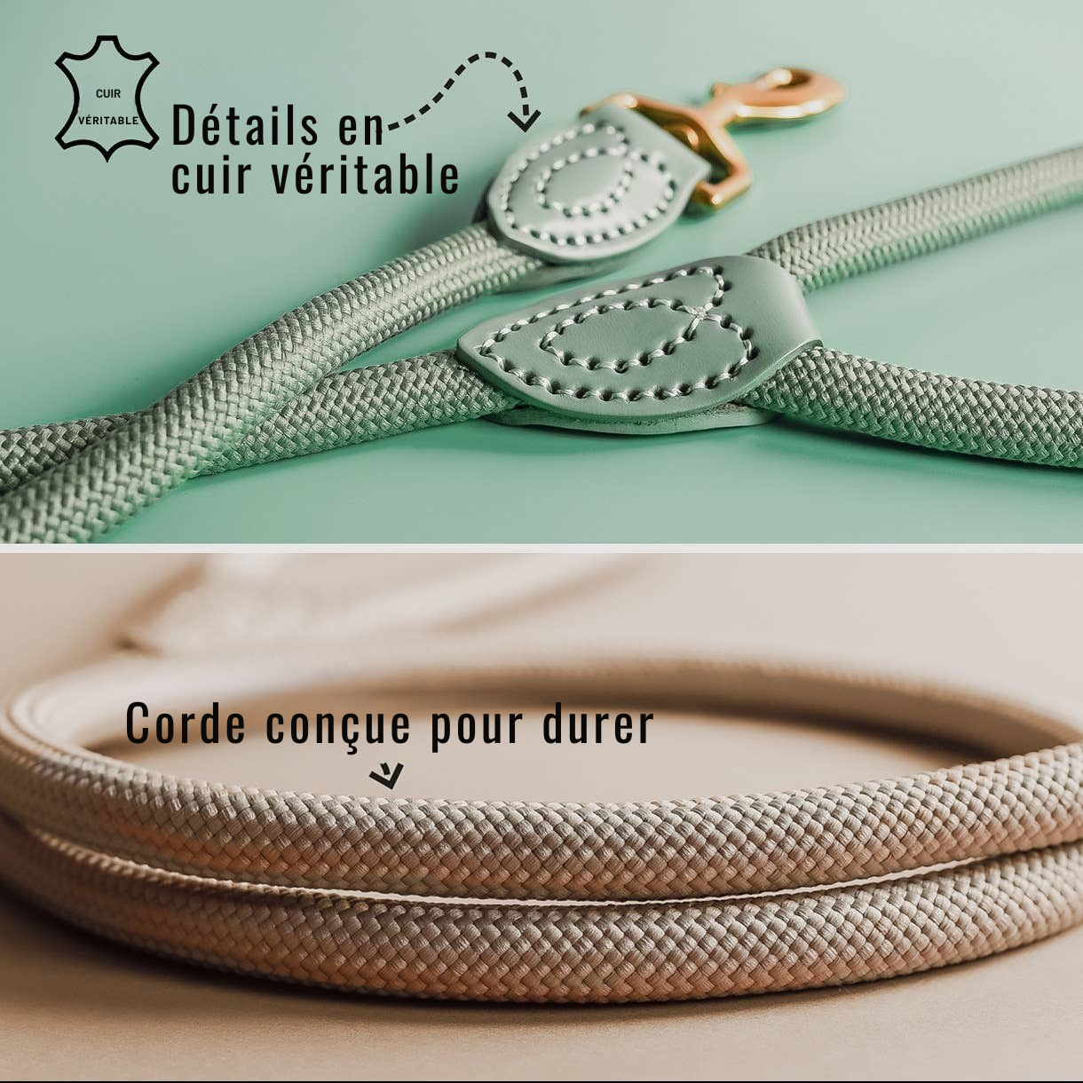 Laisse en polyamide et cuir