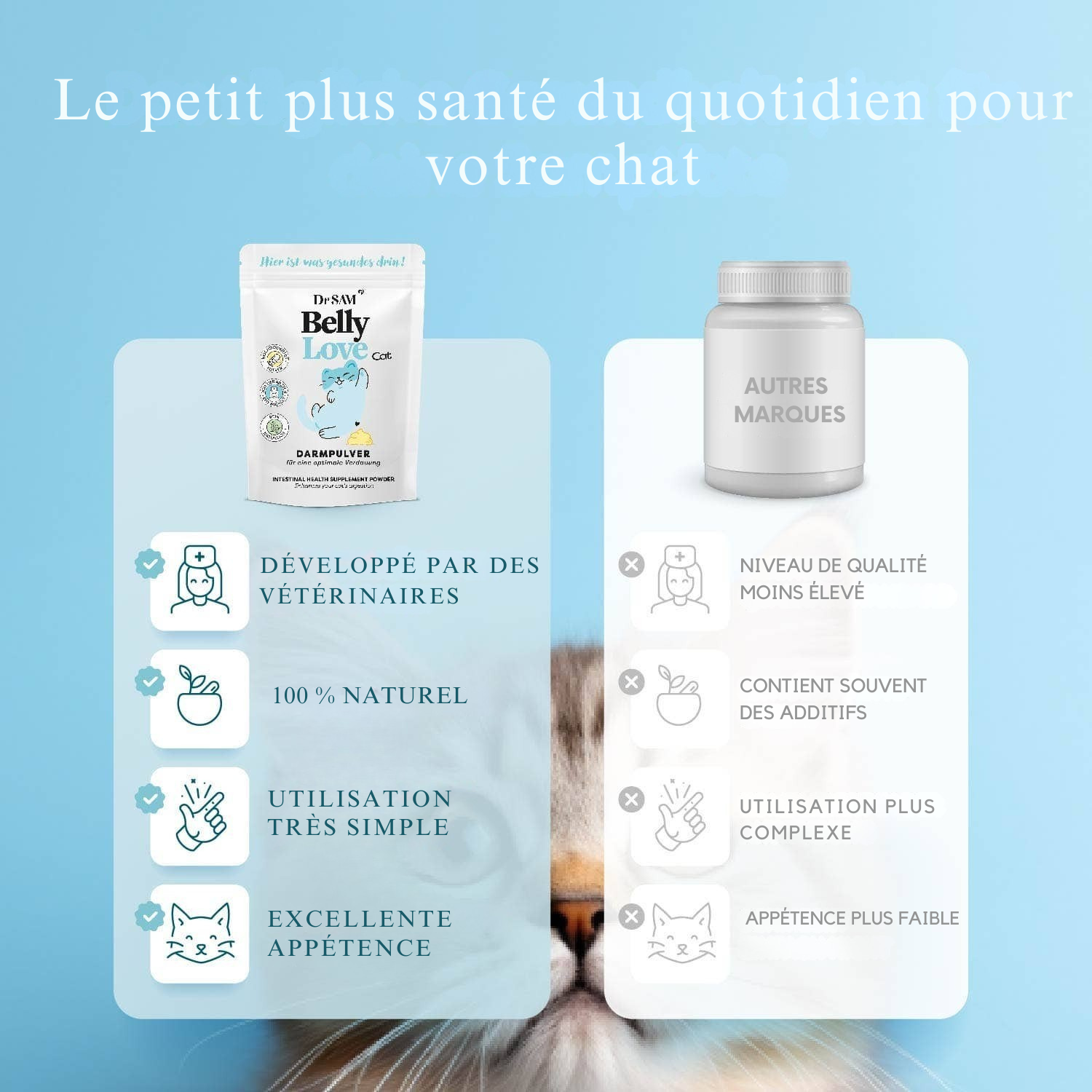 Herbal intestinal powder for cats