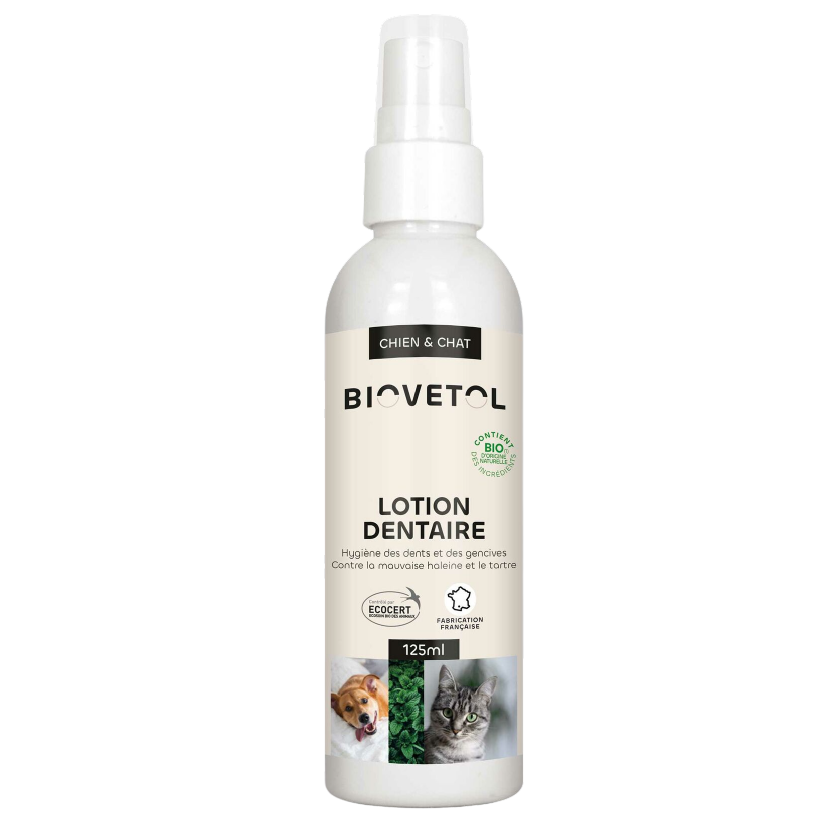 Dental lotion with organic plant-based active ingredients