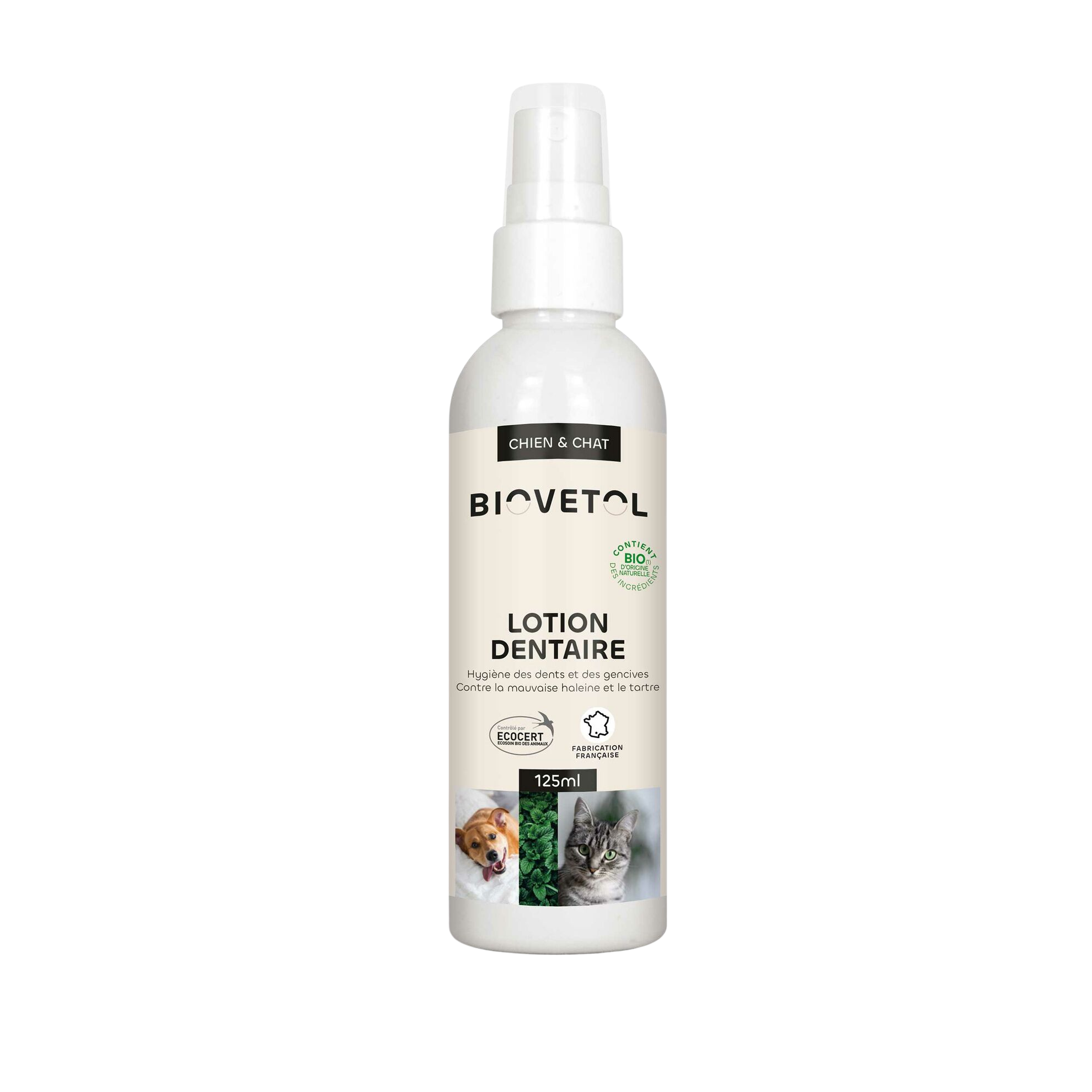 Dental lotion with organic plant-based active ingredients