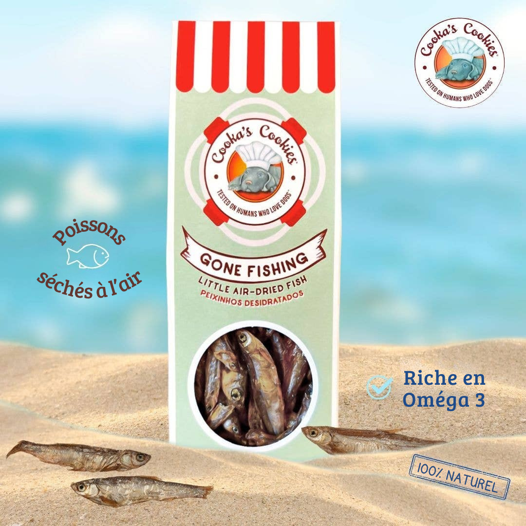 Gone Fishing - Air-dried fish