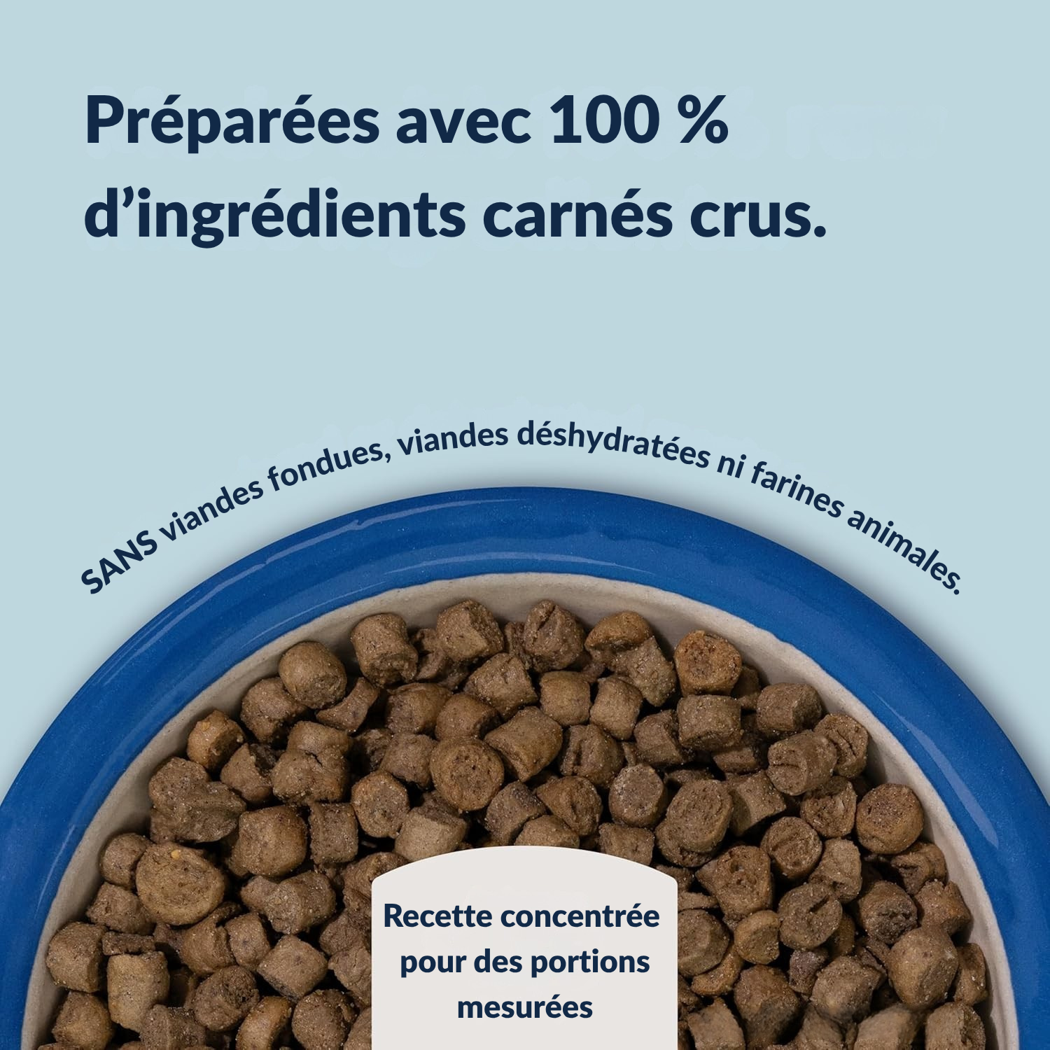 Southern beef & blue whiting cat kibble