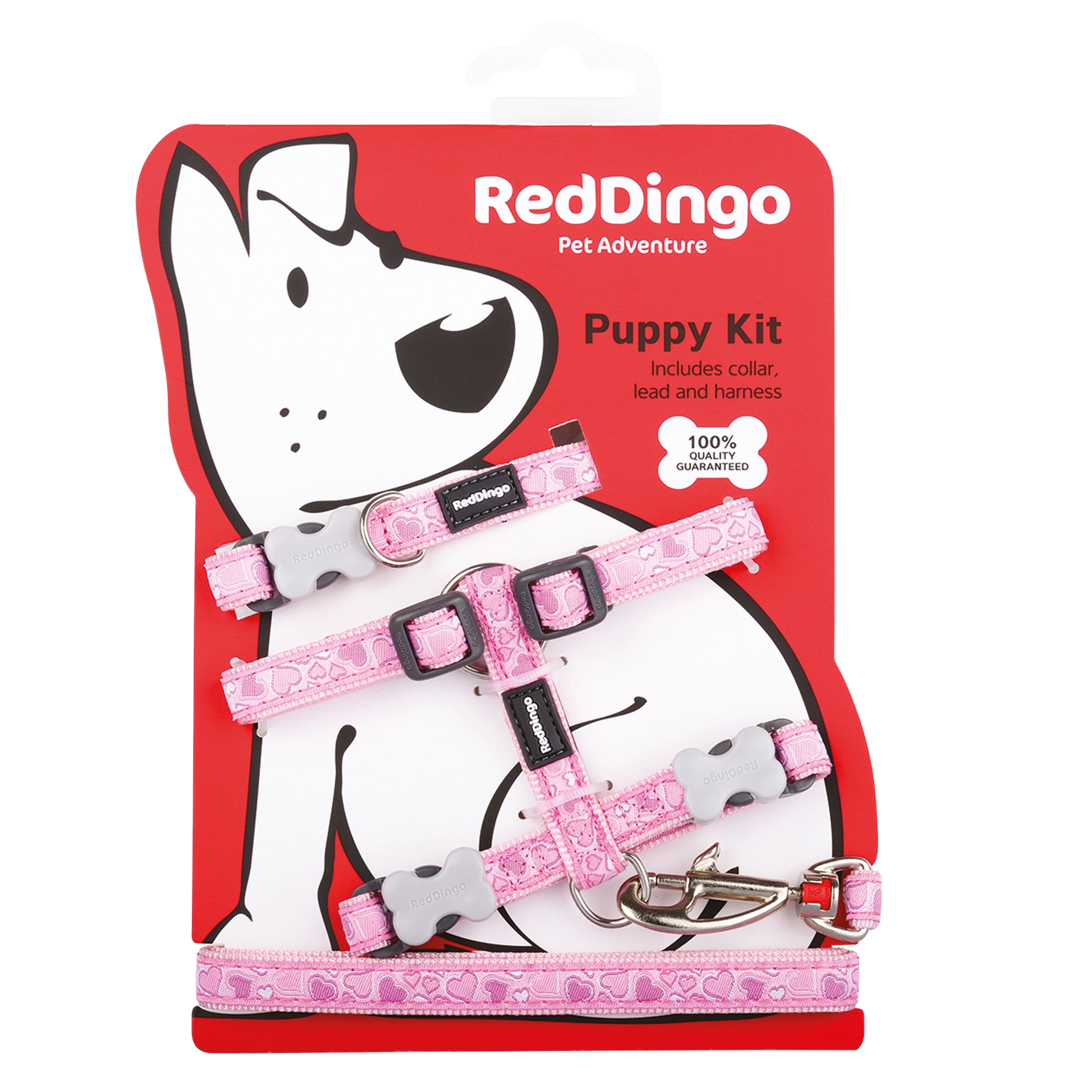 Breezy Love puppy collar, harness and leash set