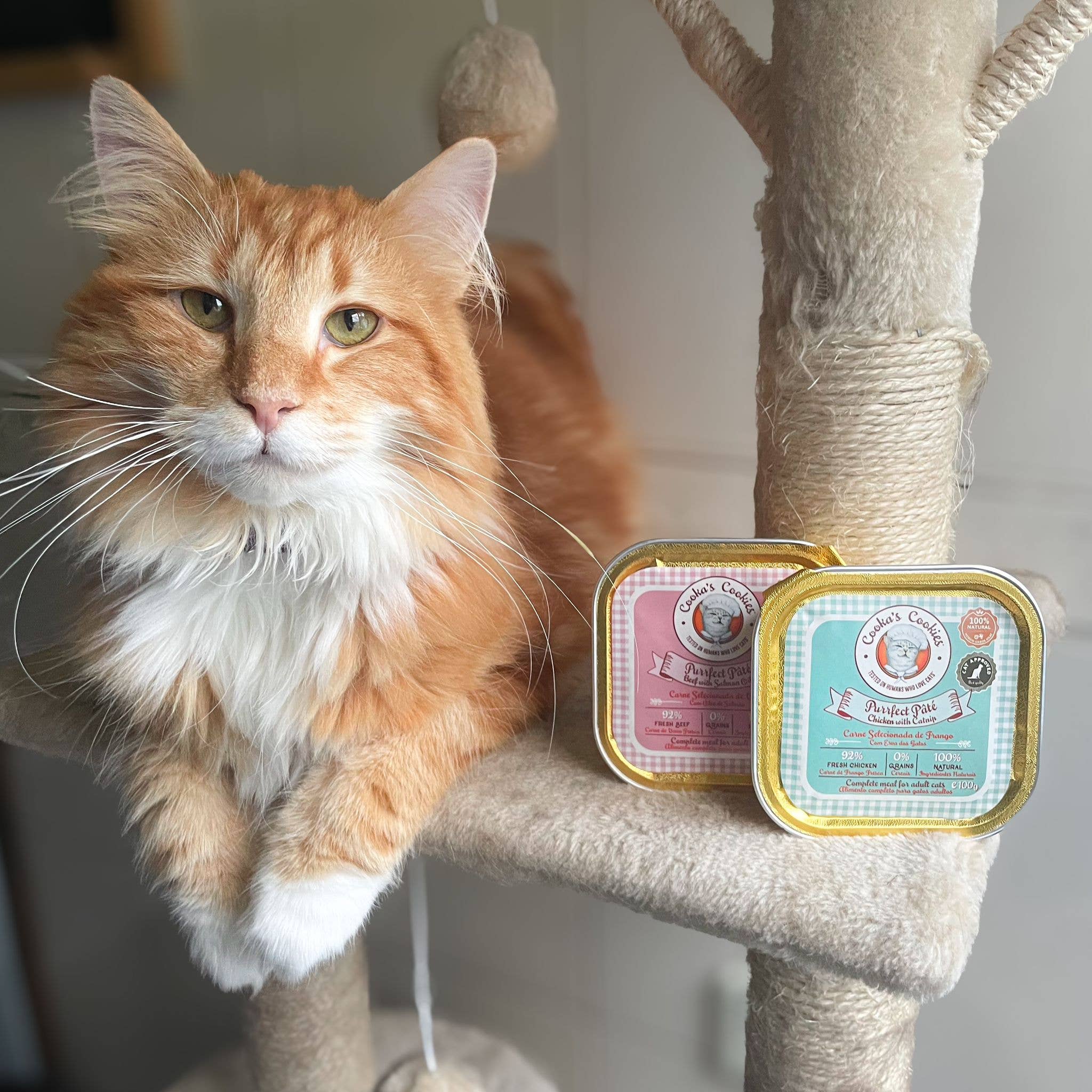 Chicken and catnip pie