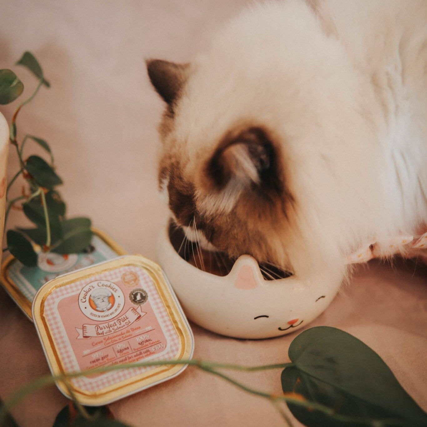 Beef pâté and salmon oil