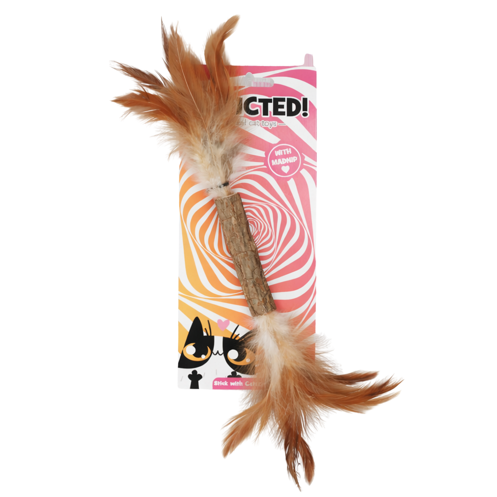Jouet bâtonnet avec plumes au matatabi