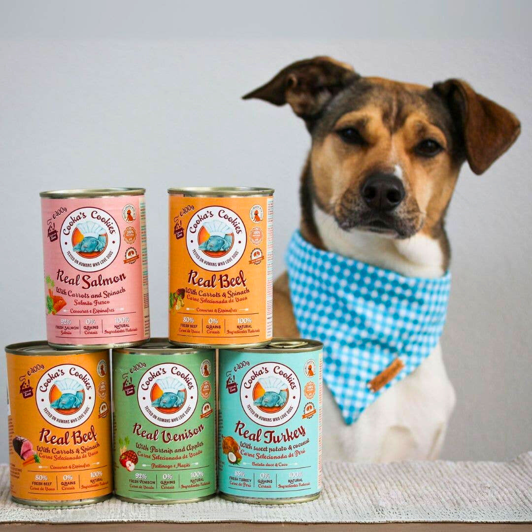 Fresh beef pâté with carrots and spinach