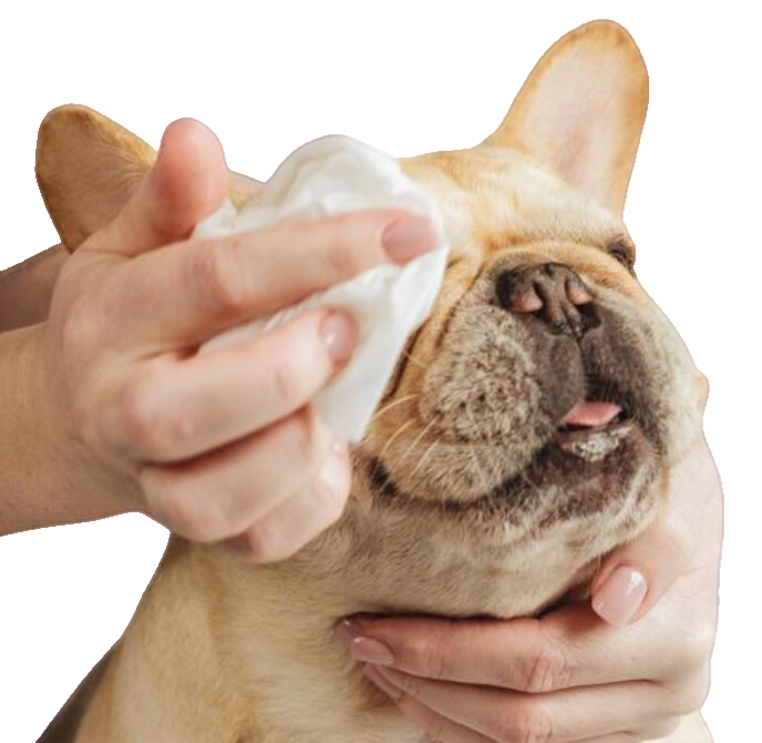 Lingettes de toilettage naturelles en bambou