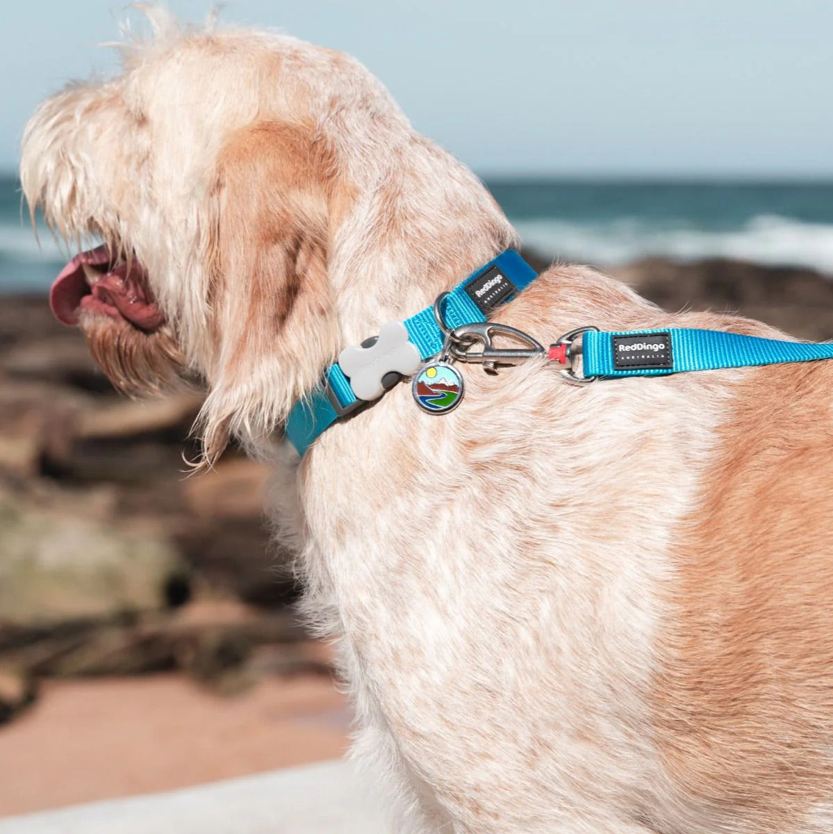 Verstellbares Nylonhalsband für Hunde