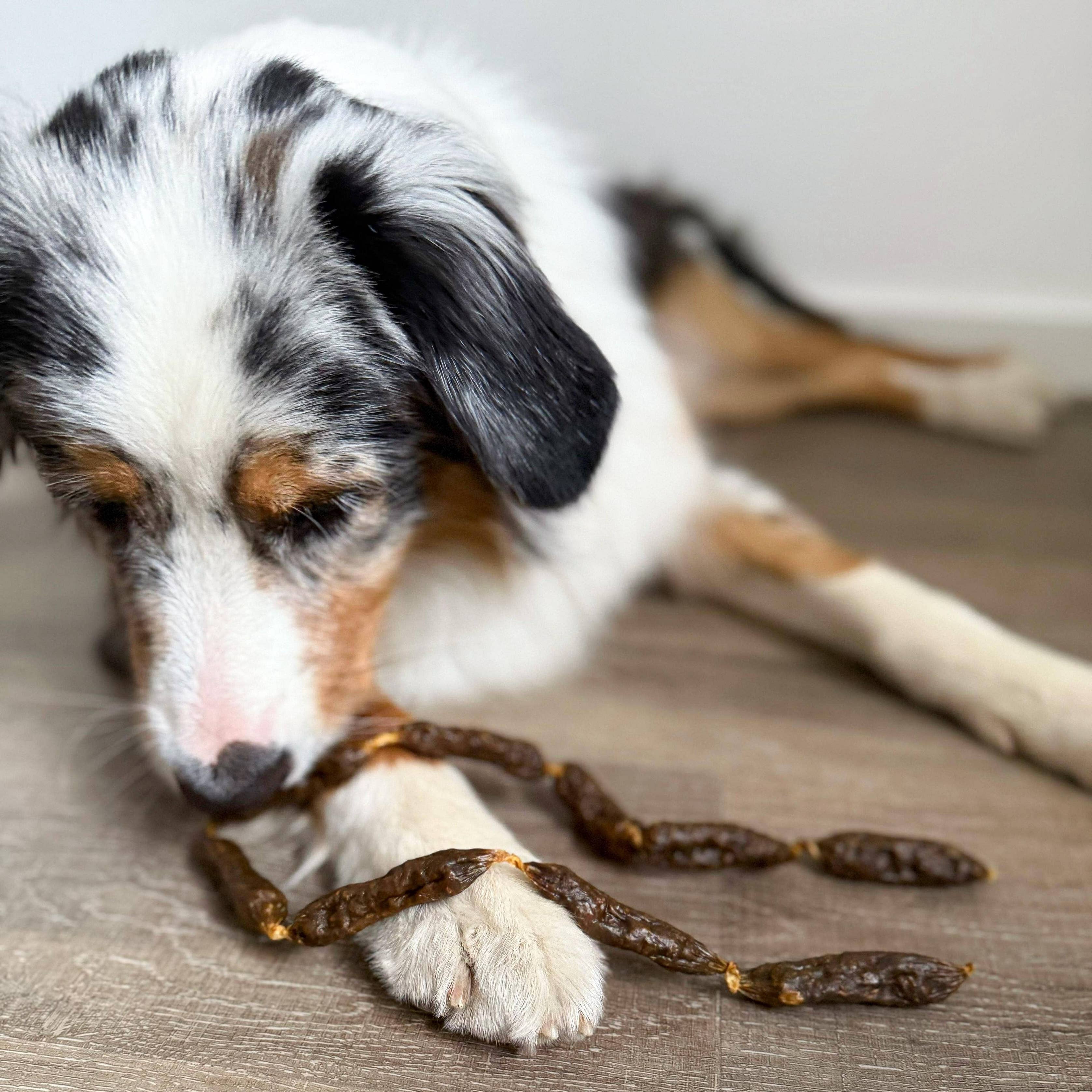 Saucisses séchées de bœuf