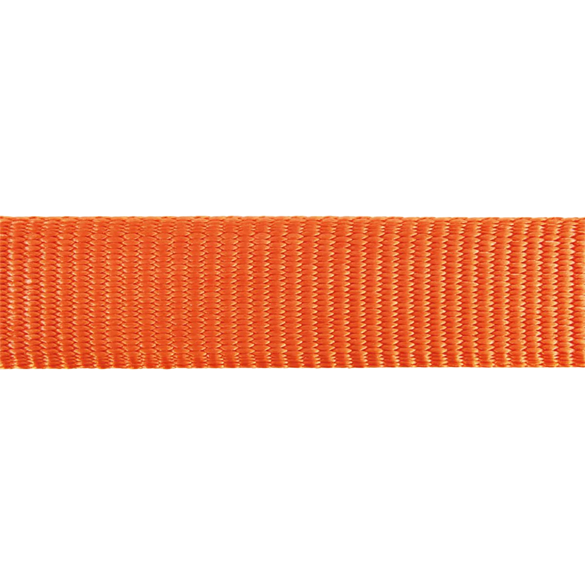 Verstellbares Nylonhalsband für Hunde