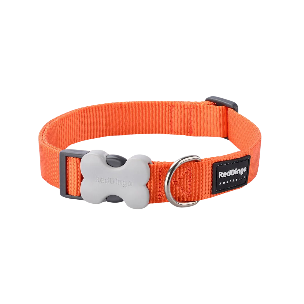 Verstellbares Nylonhalsband für Hunde