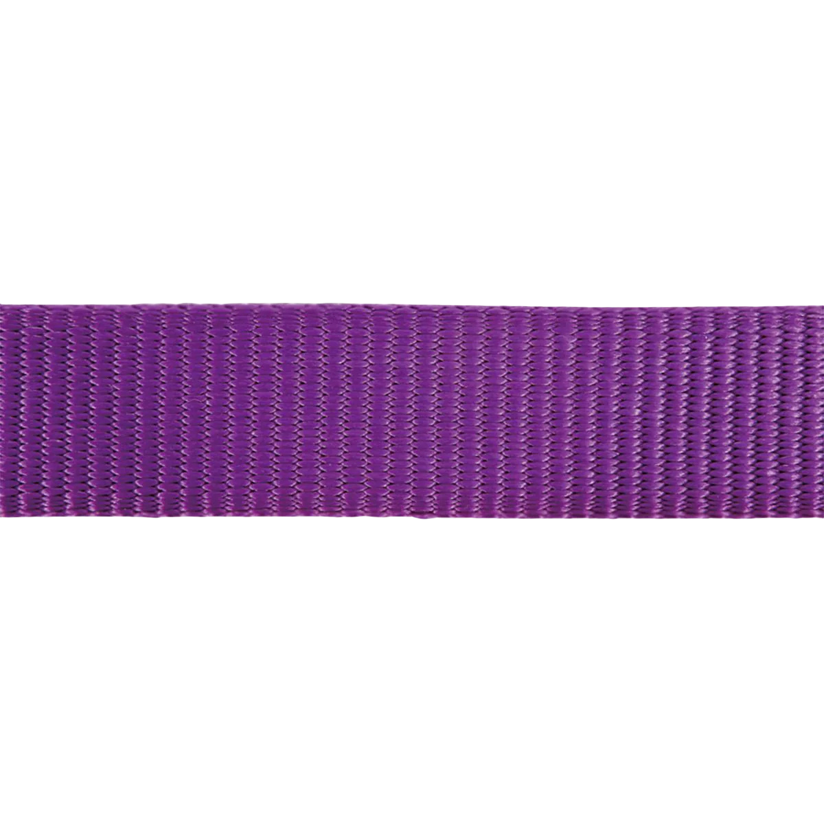 Verstellbares Nylonhalsband für Hunde