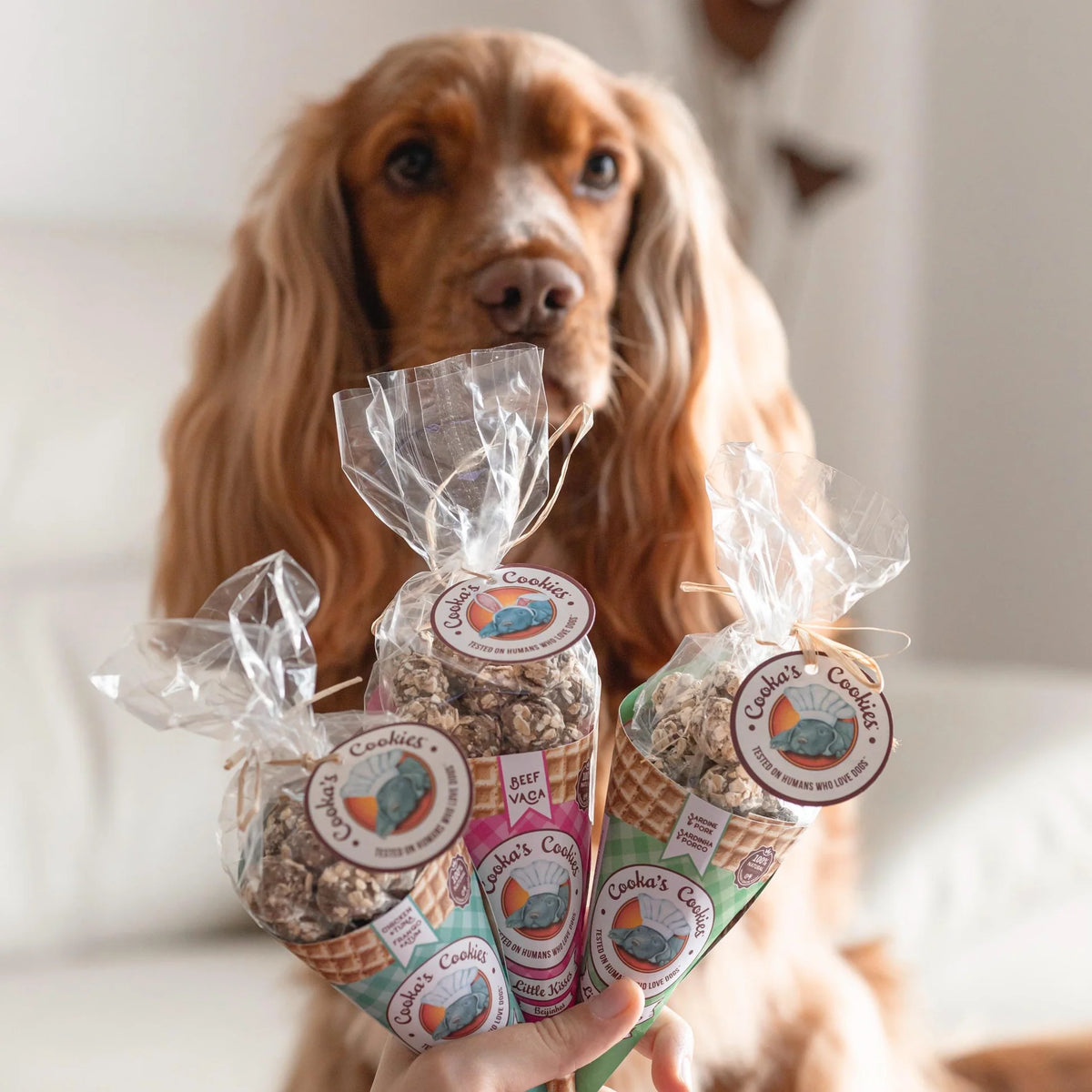 Beijinhos - Crunchy and natural pork and sardine treats for dogs