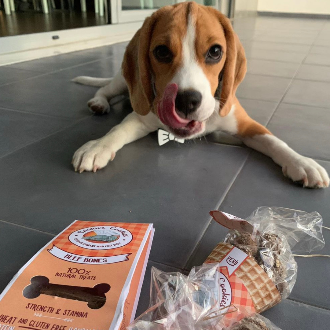 Beijinhos Turkey - Crunchy and natural turkey dog treats