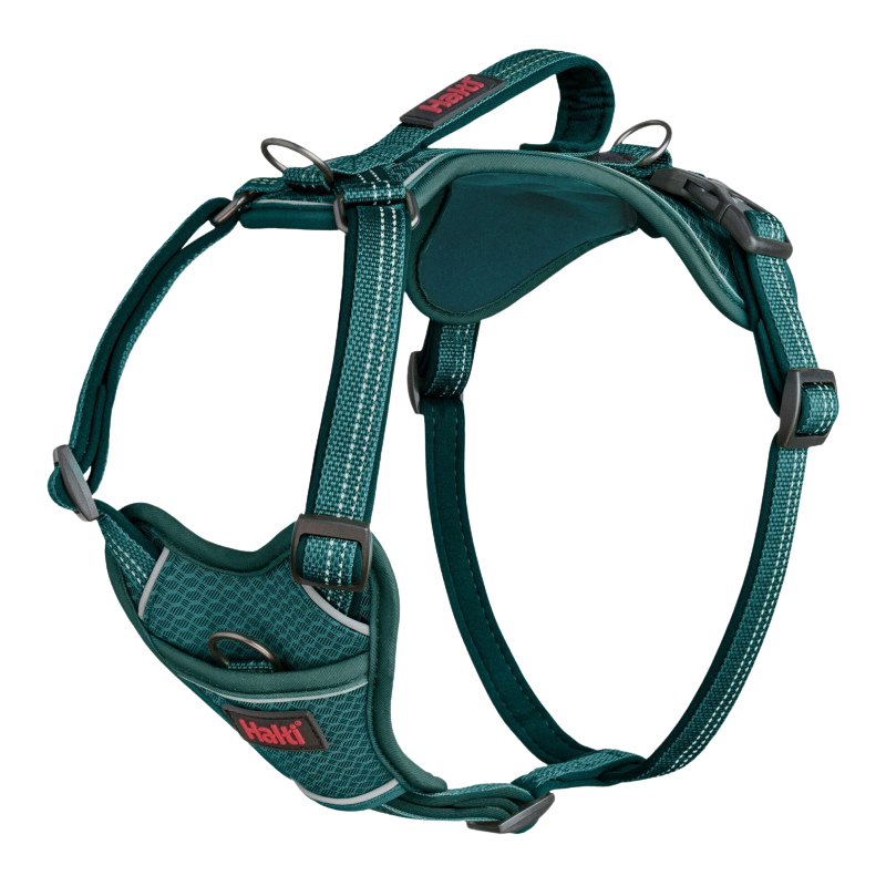 Harnais anatomique ajustable pour chiens