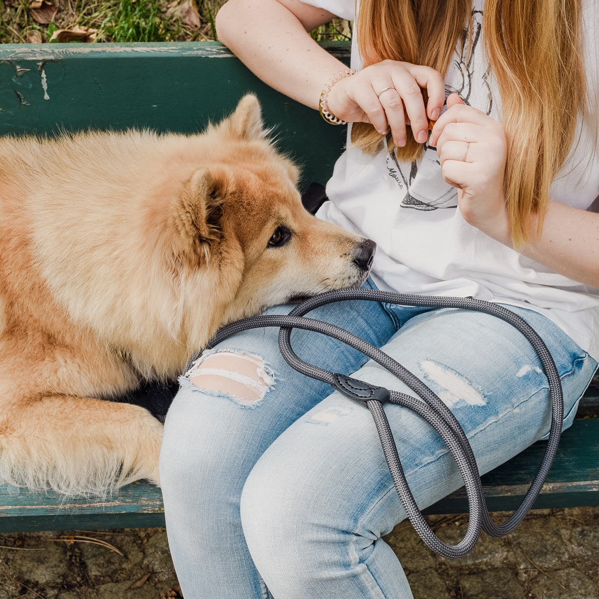 Laisse en polyamide et cuir