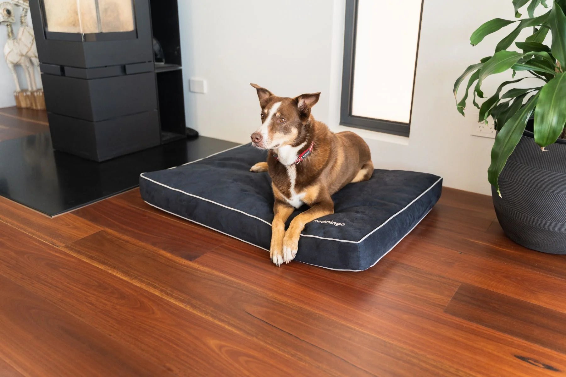 Removable microfiber mattress cover