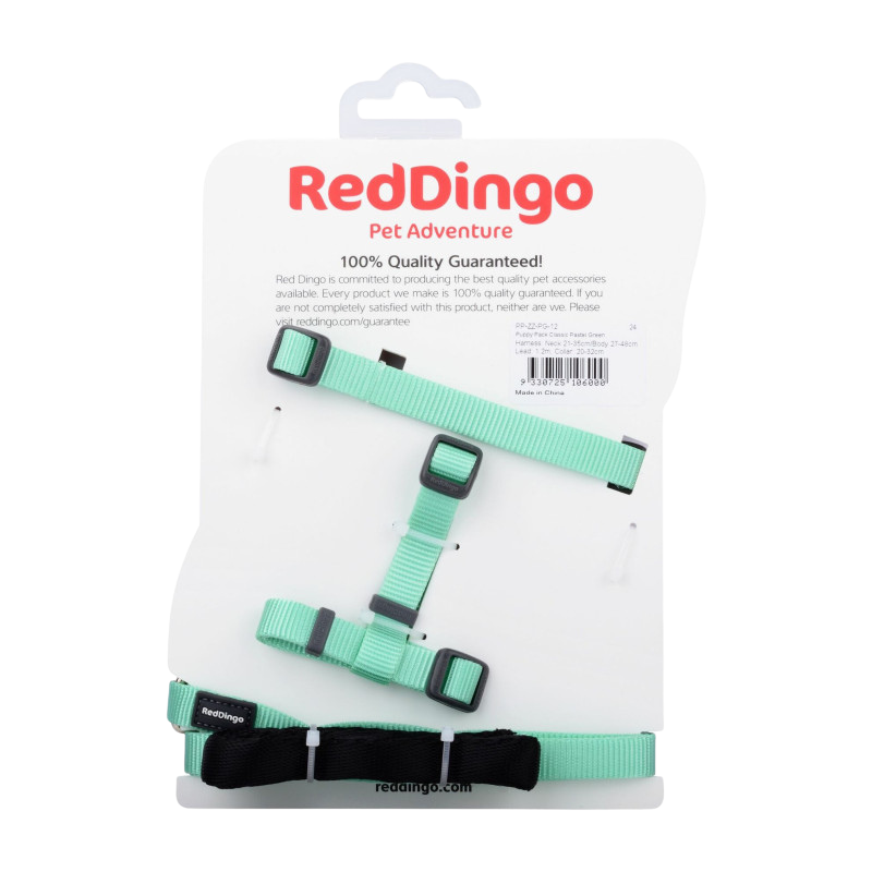 Kit collier, harnais et laisse vert pastel pour chiots