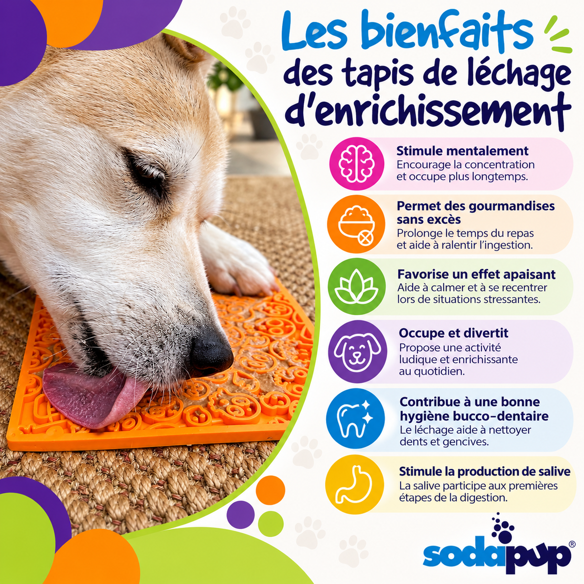 Tapis de léchage Zombie pour chiens et chats