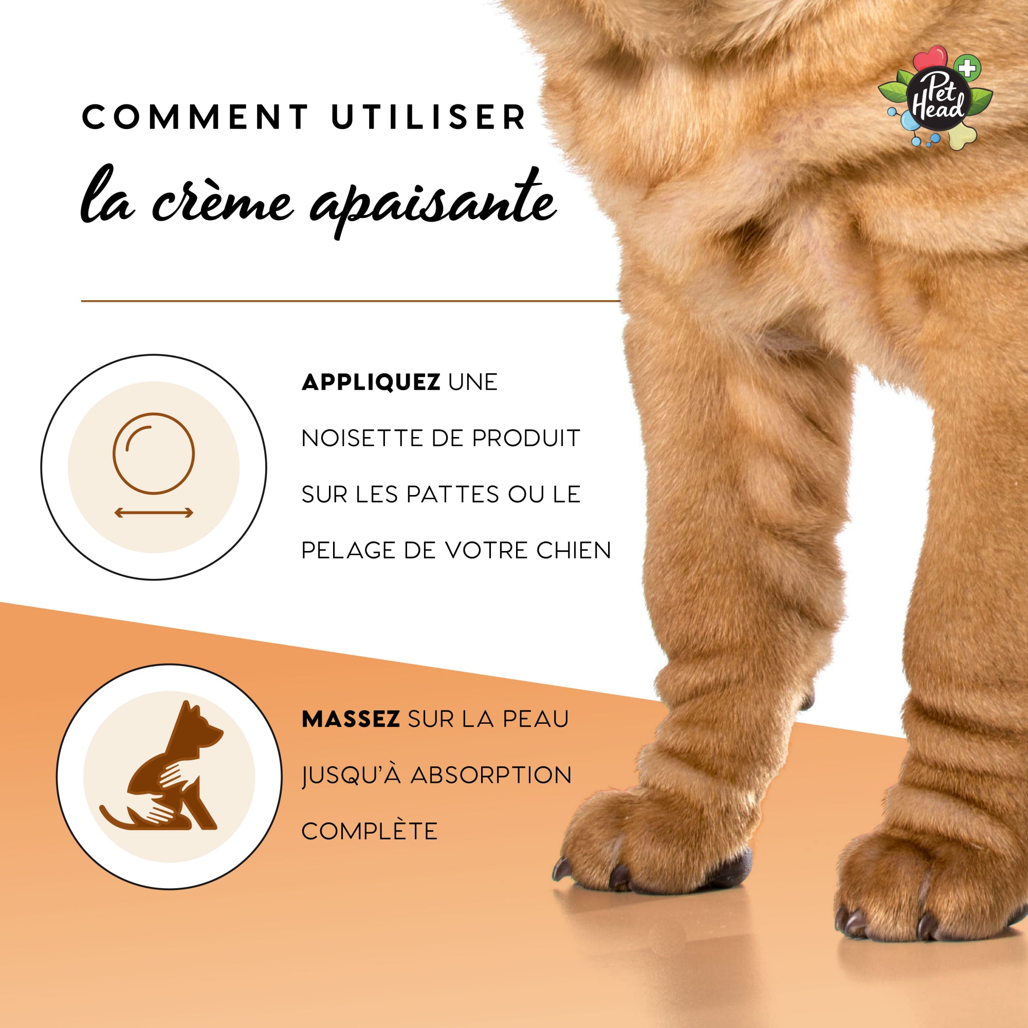 Crème apaisante à l’avoine pour chiens