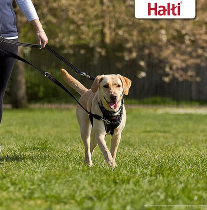 Laisse d’éducation 3 positions pour chiens