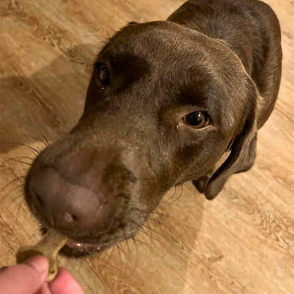 Tapis de cuisson en silicone moule forme os