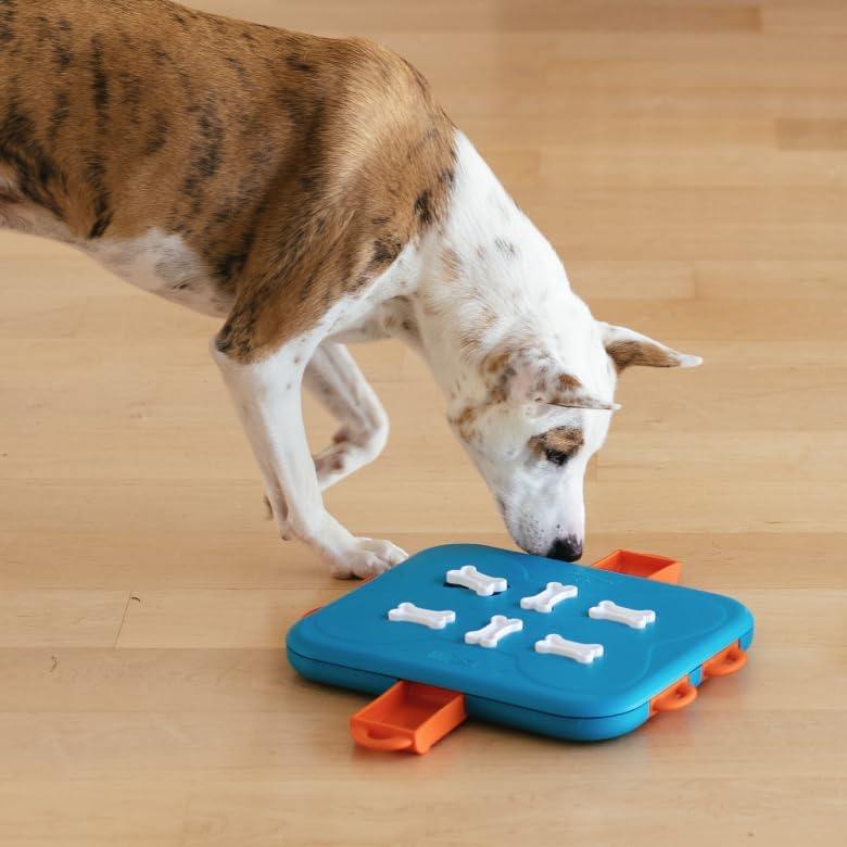 Jeu de réflexion Dog Casino niveau 3 pour chiens