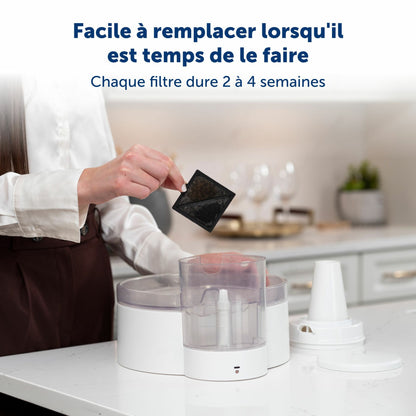 Pack of 4 Ion-X filters for Viva and Outlast fountains