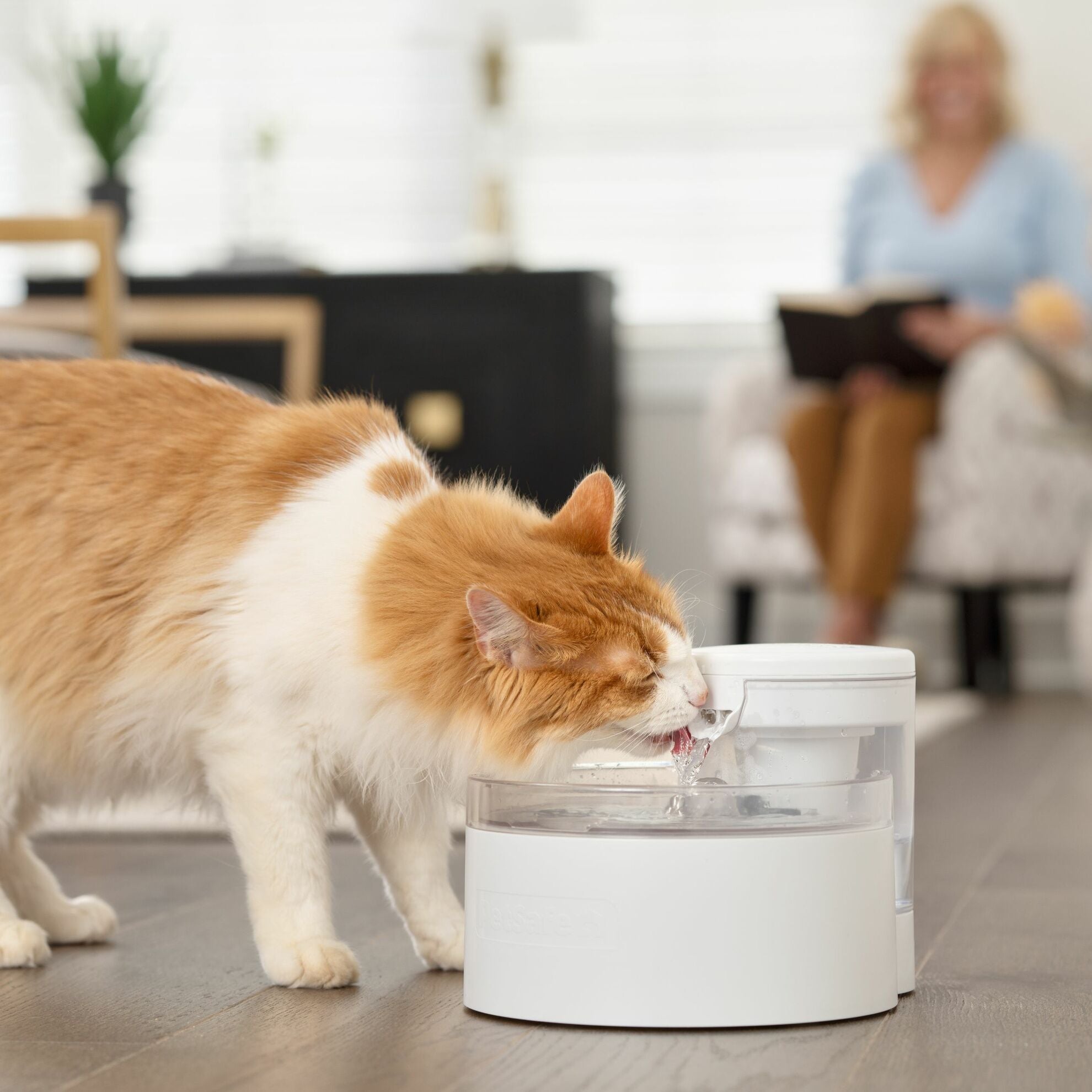 Fontaine à eau Outlast sans pompe à double filtration