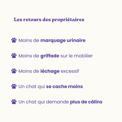 Complément alimentaire anti-stress pour chats