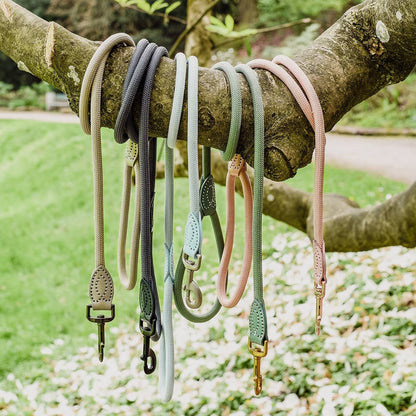 Laisse en polyamide et cuir