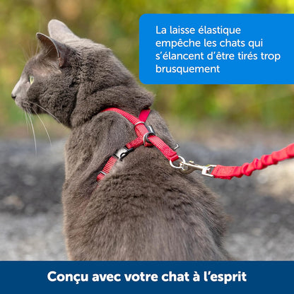 Easy Walk® Geschirr und Leine für Katzen