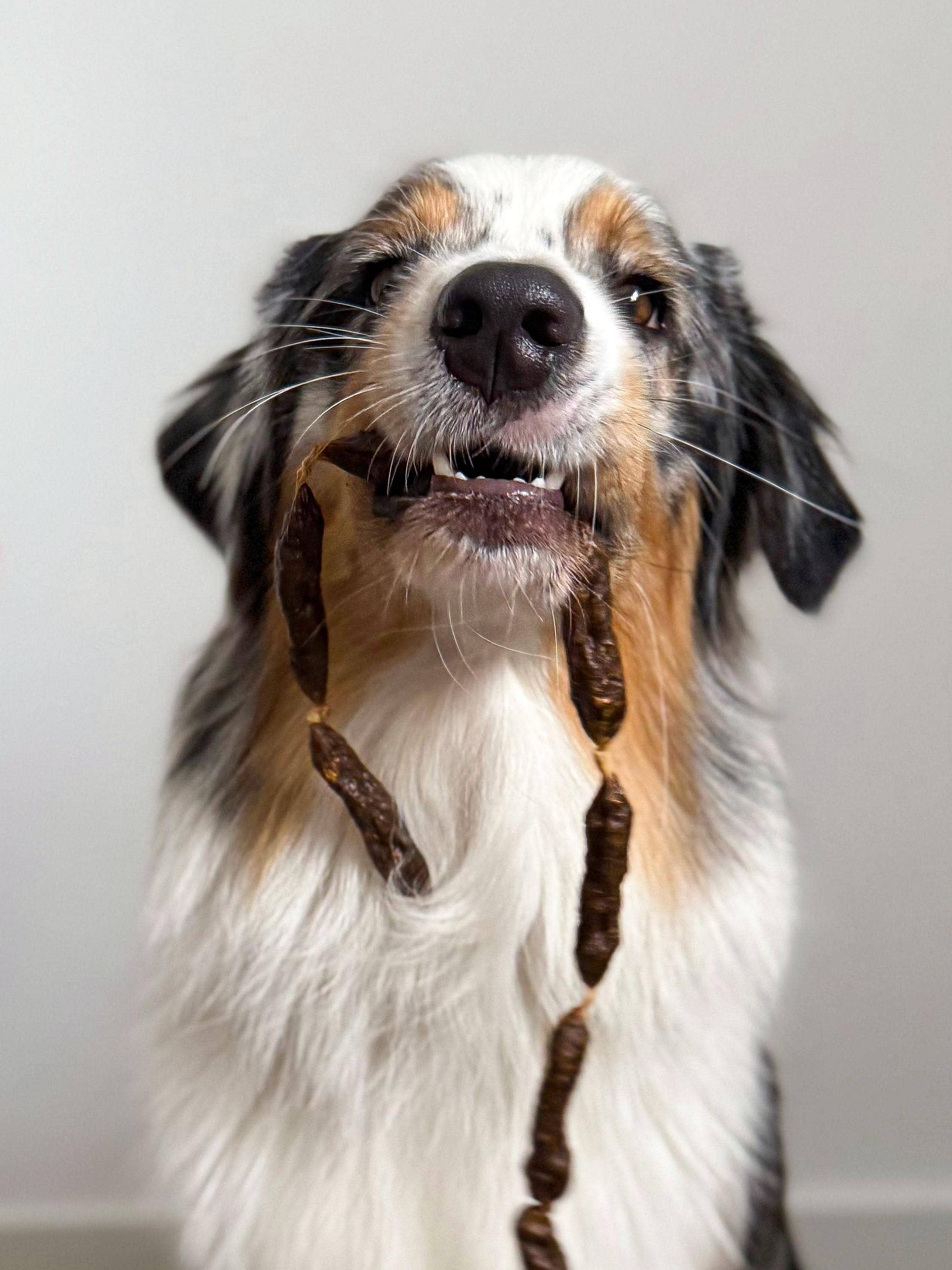 Saucisses séchées de dinde