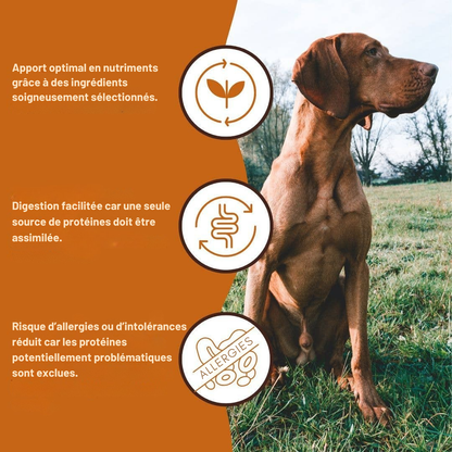 Pure beef pâté, BARF quality